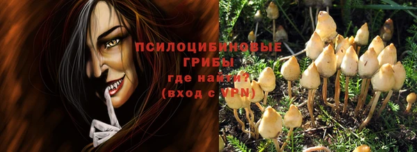 твердый Покровск