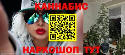 гашик Кимры