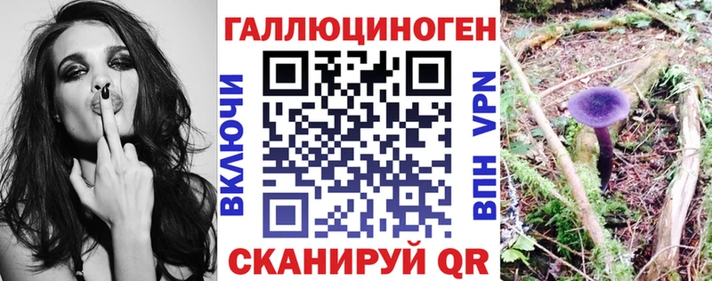 Галлюциногенные грибы Psilocybine cubensis  мориарти официальный сайт  Нефтекумск 