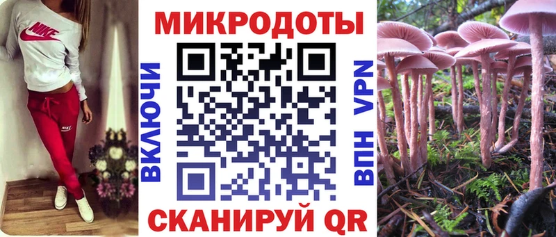 Галлюциногенные грибы прущие грибы Нефтекумск