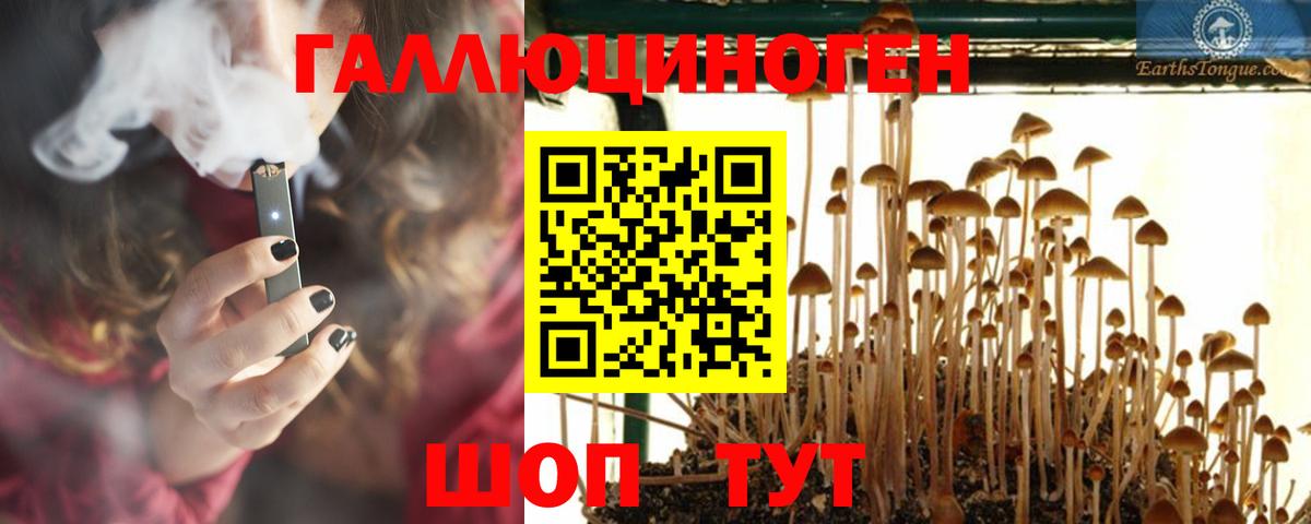 Псилоцибиновые грибы Psilocybine cubensis  Вход с VPN  Нефтекумск 