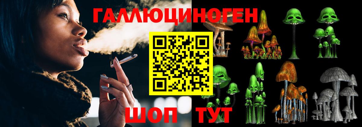 Псилоцибиновые грибы ЛСД Нефтекумск